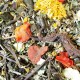 JR FARM Grainless Mix Dwarf Rabbit 2500g