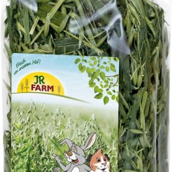JR FARM Green Oats 100g