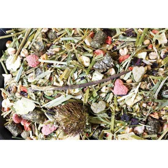 JR Farm Feast for Degus - Economy Pack: 2 x 10kg JR Farm Feast for Degus - Economy Pack: 2 x 10kg