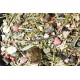 JR Farm Feast for Degus - Economy Pack: 2 x 10kg JR Farm Feast for Degus - Economy Pack: 2 x 10kg