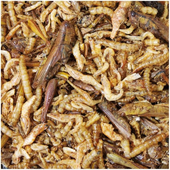 JR Farm Feast for Hamsters 600g JR Farm Feast for Hamsters 600g