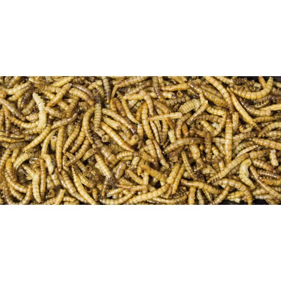 JR Farm Feast for Hamsters 600g JR Farm Feast for Hamsters 600g