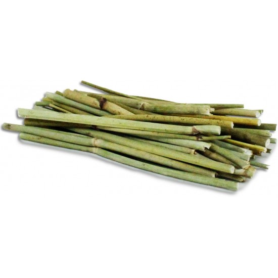 JR Farm Fennel Sticks 15g Size 1 x 15g JR Farm Fennel Sticks 15g Size 1 x 15g