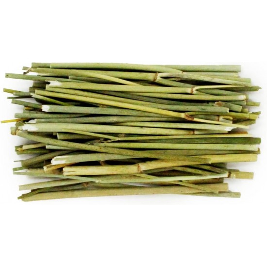 JR Farm Fennel Sticks 15g Size 1 x 15g JR Farm Fennel Sticks 15g Size 1 x 15g
