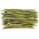 JR Farm Fennel Sticks 15g Size 1 x 15g JR Farm Fennel Sticks 15g Size 1 x 15g