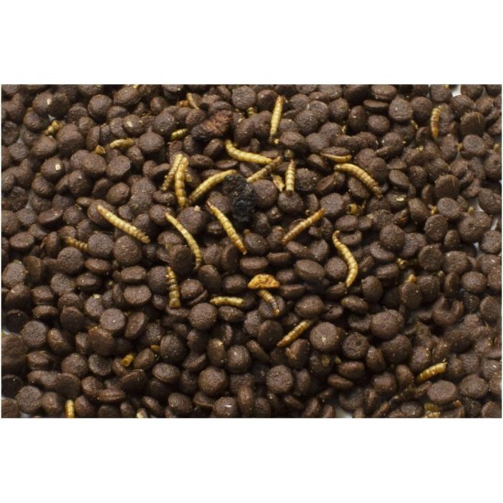 JR Garden Grainless Hedgehog 2.5 kg 5L Bucket JR Garden Grainless Hedgehog 2.5 kg 5L Bucket