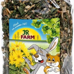 Jr Farm Alcachofa De Jerusalen 150 GR