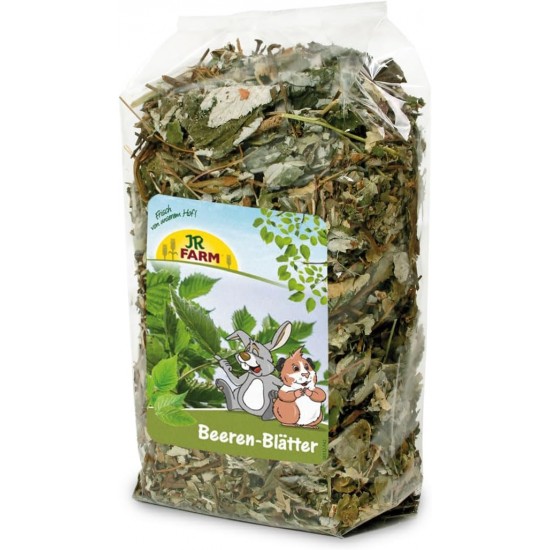 Jr Farm Berry Leaves 100 GR Jr Farm Berry Leaves 100 GR