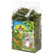 Jr Farm Green carrots 100 GR Jr Farm Green carrots 100 GR