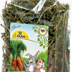 Jr Farm Green carrots 100 GR