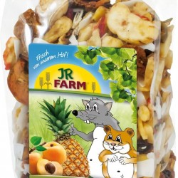 Jr Farm Rodents Tropical Snack 200 GR Jr Farm Rodents Tropical Snack 200 GR