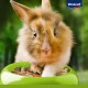 Vitakraft Menu Vital, Dwarf Rabbit Feed, with Herbs and Vegetables, Raw Fibre-Rich, No Added Sugar (3 x 5 kg) Vitakraft Menu Vital, Dwarf Rabbit Feed, with Herbs and Vegetables, Raw Fibre-Rich, No Added Sugar (3 x 5 kg)