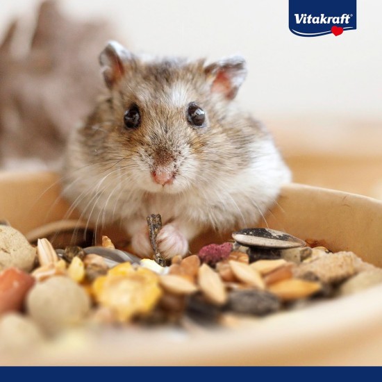 Vitakraft Menu Vital Hamster Food, 1 kg Vitakraft Menu Vital Hamster Food, 1 kg