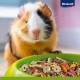 Vitakraft Premium Menu Vital, staple food for guinea pigs, 3-pack (3 x 5 kg) Vitakraft Premium Menu Vital, staple food for guinea pigs, 3-pack (3 x 5 kg)