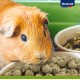 Vitakraft Vita Special Junior Dwarf Rabbit Feed for Young Dwarf Rabbits with Grasses and Herbs for Optimal Digestion, No Added Sugar and Grains (5 x 600 g) Vitakraft Vita Special Junior Dwarf Rabbit Feed for Young Dwarf Rabbits with Grasses and Herbs for Optimal Digestion, No Added Sugar and Grains (5 x 600 g)