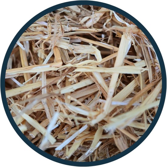Anibest Natural Straw, Small Animal Litter, 100% Natural Litter for All Rodents & Small Animals, Rabbits, Hamsters, Guinea Pigs etc., Absorbent, Heat-Insulating, Made in Germany, 0.8 kg Anibest Natural Straw, Small Animal Litter, 100% Natural Litter for All Rodents & Small Animals, Rabbits, Hamsters, Guinea Pigs etc., Absorbent, Heat-Insulating, Made in Germany, 0.8 kg