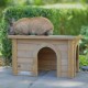 BUNNY BUSINESS Wooden Rabbit and Guinea Pig Shelter, Rabbit Hutch and Runs, 50 x 42 x 43 cm, Grey BUNNY BUSINESS Wooden Rabbit and Guinea Pig Shelter, Rabbit Hutch and Runs, 50 x 42 x 43 cm, Grey