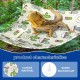 CQJ Bearded Dragon Hammock Swing for Hanging Reptile Bed Lounger with Cushion Hooks and Suction Cup for Large Small Bearded Dragons, Geckos, Lizards, Snakes (Blue, 19 x 13 inches)