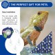 CQJ Bearded Dragon Hammock Swing for Hanging Reptile Bed Lounger with Cushion Hooks and Suction Cup for Large Small Bearded Dragons, Geckos, Lizards, Snakes (Blue, 19 x 13 inches)