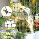 CQJ Parrot Climbing Net Jungle Fever Rope - Toy for Small Animals such as Budgies, Lovebirds, Finches, Cockatiels, Conures (Large: 60x60cm) CQJ Parrot Climbing Net Jungle Fever Rope - Toy for Small Animals such as Budgies, Lovebirds, Finches, Cockatiels, Conures (Large: 60x60cm)
