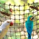 CQJ Parrot Climbing Net Jungle Fever Rope - Toy for Small Animals such as Budgies, Lovebirds, Finches, Cockatiels, Conures (Large: 60x60cm) CQJ Parrot Climbing Net Jungle Fever Rope - Toy for Small Animals such as Budgies, Lovebirds, Finches, Cockatiels, Conures (Large: 60x60cm)