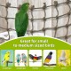 CQJ Parrot Climbing Net Jungle Fever Rope - Toy for Small Animals such as Budgies, Lovebirds, Finches, Cockatiels, Conures (Large: 60x60cm) CQJ Parrot Climbing Net Jungle Fever Rope - Toy for Small Animals such as Budgies, Lovebirds, Finches, Cockatiels, Conures (Large: 60x60cm)