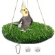 CQJ Reptile Hammock Swing Hanging Bed, PP Grass Pad, Portable Bird Swing Stand, Natural Swing Hanging Bed for Bearded Dragon, Leopard, Gecko, Lizard, Birds, Parrots (Round) CQJ Reptile Hammock Swing Hanging Bed, PP Grass Pad, Portable Bird Swing Stand, Natural Swing Hanging Bed for Bearded Dragon, Leopard, Gecko, Lizard, Birds, Parrots (Round)