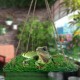 CQJ Reptile Hammock Swing Hanging Bed, PP Grass Pad, Portable Bird Swing Stand, Natural Swing Hanging Bed for Bearded Dragon, Leopard, Gecko, Lizard, Birds, Parrots (Round) CQJ Reptile Hammock Swing Hanging Bed, PP Grass Pad, Portable Bird Swing Stand, Natural Swing Hanging Bed for Bearded Dragon, Leopard, Gecko, Lizard, Birds, Parrots (Round)