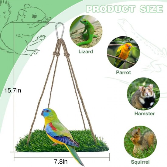 CQJ Reptile Hammock Swing Hanging Bed, PP Grass Pad, Portable Bird Swing Stand, Natural Swing Hanging Bed for Bearded Dragon, Leopard, Gecko, Lizard, Birds, Parrots (Round) CQJ Reptile Hammock Swing Hanging Bed, PP Grass Pad, Portable Bird Swing Stand, Natural Swing Hanging Bed for Bearded Dragon, Leopard, Gecko, Lizard, Birds, Parrots (Round)