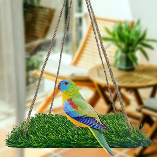 CQJ Reptile Hammock Swing Hanging Bed, PP Grass Pad, Portable Bird Swing Stand, Natural Swing Hanging Bed for Bearded Dragon, Leopard, Gecko, Lizard, Birds, Parrots (Round) CQJ Reptile Hammock Swing Hanging Bed, PP Grass Pad, Portable Bird Swing Stand, Natural Swing Hanging Bed for Bearded Dragon, Leopard, Gecko, Lizard, Birds, Parrots (Round)