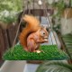 CQJ Reptile Hammock Swing Hanging Bed, PP Grass Pad, Portable Bird Swing Stand, Natural Swing Hanging Bed for Bearded Dragon, Leopard, Gecko, Lizard, Birds, Parrots (Round) CQJ Reptile Hammock Swing Hanging Bed, PP Grass Pad, Portable Bird Swing Stand, Natural Swing Hanging Bed for Bearded Dragon, Leopard, Gecko, Lizard, Birds, Parrots (Round)