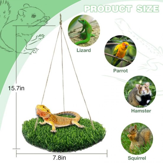 CQJ Reptile Hammock Swing Hanging Bed, PP Grass Pad, Portable Bird Swing Stand, Natural Swing Hanging Bed for Bearded Dragon, Leopard, Gecko, Lizard, Birds, Parrots (Round) CQJ Reptile Hammock Swing Hanging Bed, PP Grass Pad, Portable Bird Swing Stand, Natural Swing Hanging Bed for Bearded Dragon, Leopard, Gecko, Lizard, Birds, Parrots (Round)