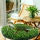 CQJ Reptile Hammock Swing Hanging Bed, PP Grass Pad, Portable Bird Swing Stand, Natural Swing Hanging Bed for Bearded Dragon, Leopard, Gecko, Lizard, Birds, Parrots (Round) CQJ Reptile Hammock Swing Hanging Bed, PP Grass Pad, Portable Bird Swing Stand, Natural Swing Hanging Bed for Bearded Dragon, Leopard, Gecko, Lizard, Birds, Parrots (Round)
