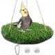 CQJ Reptile Hammock Swing Hanging Bed, PP Grass Pad, Portable Bird Swing Stand, Natural Swing Hanging Bed for Bearded Dragon, Leopard, Gecko, Lizard, Birds, Parrots (Round) CQJ Reptile Hammock Swing Hanging Bed, PP Grass Pad, Portable Bird Swing Stand, Natural Swing Hanging Bed for Bearded Dragon, Leopard, Gecko, Lizard, Birds, Parrots (Round)