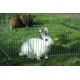 Dobar Metal Outdoor Run with Nylon Net, Various Sizes and colours, plus accessories. Dobar Metal Outdoor Run with Nylon Net, Various Sizes and colours, plus accessories.