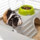 FERPLAST CAVIE 80 Metal Rodent Cage for Guinea Pigs, Guinea Pigs, Includes Accessories: Feeding Bowl, Drinking Bottle, Bowl, House. 77 x 48 x 42 cm FERPLAST CAVIE 80 Metal Rodent Cage for Guinea Pigs, Guinea Pigs, Includes Accessories: Feeding Bowl, Drinking Bottle, Bowl, House. 77 x 48 x 42 cm
