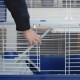 Ferplast BARN Rabbit Cage, Rabbit Cage Small Animal Cage, 2 Levels, Open Roof, Accessories and Rabbit Accessories Included, 78 x 48 x 65 cm Ferplast BARN Rabbit Cage, Rabbit Cage Small Animal Cage, 2 Levels, Open Roof, Accessories and Rabbit Accessories Included, 78 x 48 x 65 cm