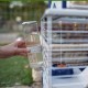 Ferplast BARN Rabbit Cage, Rabbit Cage Small Animal Cage, 2 Levels, Open Roof, Accessories and Rabbit Accessories Included, 78 x 48 x 65 cm Ferplast BARN Rabbit Cage, Rabbit Cage Small Animal Cage, 2 Levels, Open Roof, Accessories and Rabbit Accessories Included, 78 x 48 x 65 cm
