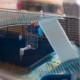 Ferplast Duna Fun Small Animal Cage, Large