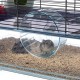 Ferplast Favola Hamster/ Mouse Cage Ferplast Favola Hamster/ Mouse Cage