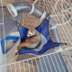 Ferplast Furet Ferret Cage, X-Large, 80 x 75 x 86.5 cm, Grey Ferplast Furet Ferret Cage, X-Large, 80 x 75 x 86.5 cm, Grey