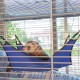 Ferplast Furet Tower Ferret Cage Ferplast Furet Tower Ferret Cage