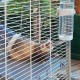 Ferplast Furet Tower Ferret Cage Ferplast Furet Tower Ferret Cage