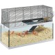 Ferplast Gerbil Glass House with Accessories Ferplast Gerbil Glass House with Accessories