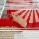 Ferplast Hamster Cage Coney Island Ferplast Hamster Cage Coney Island