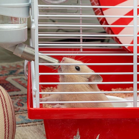 Ferplast Hamster Cage Coney Island Ferplast Hamster Cage Coney Island