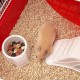 Ferplast Hamster Cage Coney Island Ferplast Hamster Cage Coney Island