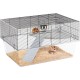 Ferplast Hamsterk Mouse Cage and Cage for Gerbil Glassy 80, Two Tier Accessories Habitat for Small Animals, High and Spacious Base, Safety Hooks on Doors, 78.5 x 57.5 x 44.5 cm Ferplast Hamsterk Mouse Cage and Cage for Gerbil Glassy 80, Two Tier Accessories Habitat for Small Animals, High and Spacious Base, Safety Hooks on Doors, 78.5 x 57.5 x 44.5 cm