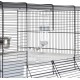 Ferplast Hamsterk Mouse Cage and Cage for Gerbil Glassy 80, Two Tier Accessories Habitat for Small Animals, High and Spacious Base, Safety Hooks on Doors, 78.5 x 57.5 x 44.5 cm Ferplast Hamsterk Mouse Cage and Cage for Gerbil Glassy 80, Two Tier Accessories Habitat for Small Animals, High and Spacious Base, Safety Hooks on Doors, 78.5 x 57.5 x 44.5 cm
