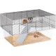 Ferplast Hamsterk Mouse Cage and Cage for Gerbil Glassy 80, Two Tier Accessories Habitat for Small Animals, High and Spacious Base, Safety Hooks on Doors, 78.5 x 57.5 x 44.5 cm Ferplast Hamsterk Mouse Cage and Cage for Gerbil Glassy 80, Two Tier Accessories Habitat for Small Animals, High and Spacious Base, Safety Hooks on Doors, 78.5 x 57.5 x 44.5 cm